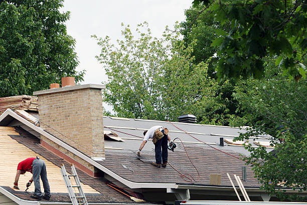 Best Roof Repair Services  in Jackson, WY