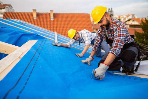 Best Roof Maintenance Services  in Jackson, WY