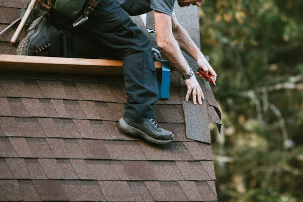 Best Sealant for Roof  in Jackson, WY