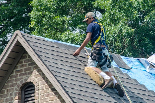 Best Storm Damage Roof Repair  in Jackson, WY